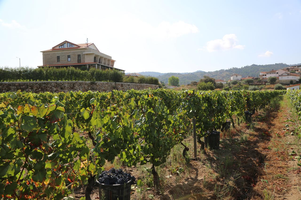 Quinta Do Palame Villa Vila Flor Exteriör bild
